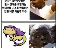 몬헌 시리즈 몬스터 특징.jpg