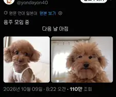 술모임 전후