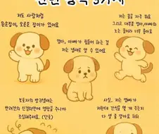 의외로 애완동물한테 하면 안 되는 행동