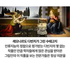 너무 이상하게 그려서 의문이였던 다빈 치 그림