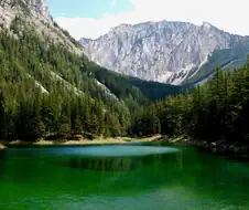 숲이 통째로 물속에 잠겨있는 신기한 호수