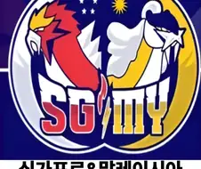 포켓몬 카드 대회 국가별 로고