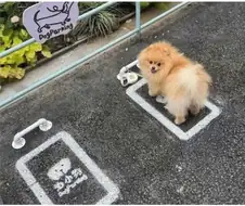 강아지전용 주차장