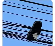 사진 한장으로 사건 전체가 이해 되는 사진.jpg