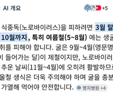 굴은 언제 먹는게 좋냐고 AI한테 물어봤다