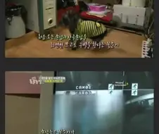 모텔 단골을 알아보는 강아지