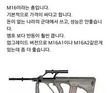 밀덕들 좋아죽는 총기리뷰.jpg