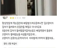 고양이때문에 고생한것 때문에 별점 2개 주겠슴..