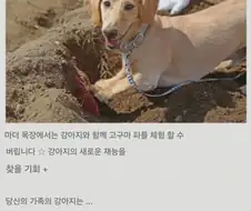 일본의 애완견과 고구마 캐는 농장.jpg