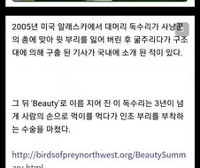 유독 한국에 잘못 알려진 동물 jpg.