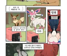 [포켓몬] 다친 포켓몬을 구조하는 만화