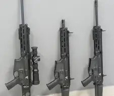 세계 총기 시장이 결국 모듈형으로 가는건 정해진 수순이긴했음