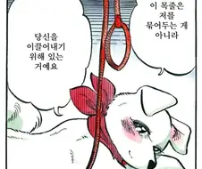 여러분이 몰랐던 애완견의 속마음