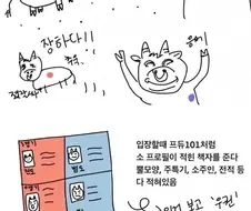 청도 소싸움 관람 후기