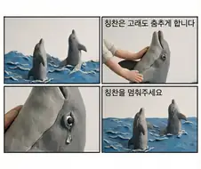 의외로 동물학대