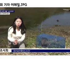 조＇서희＇ 기자 이메일