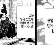 햇빛 이거 존나 신기하네ㅋㅋㅋ