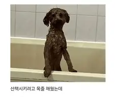 개화남