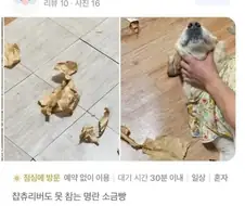 명란 소금빵 후기
