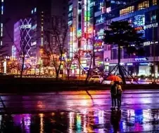 사실 의외로 사이버 펑크인 것