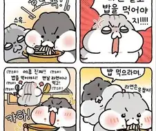 한국 엄마 특