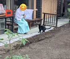 검은 고양이랑 노는 무녀.jpg