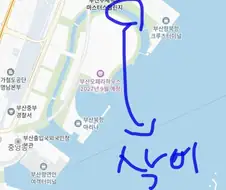 부산 상어가 안죽는 이유