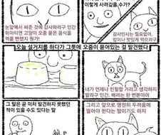 고양이 두부 만화에 대한 진실