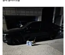 로CAT배송.JPG