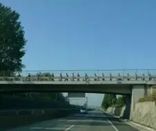 한국 성인 남성들에게 각인된 다리