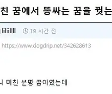 꿈에서 똥싸는 꿈을 꿨는데