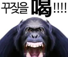 절판된 만화는 절대 못구하냐?