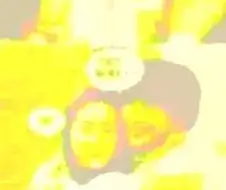 오빤 참 바보다?