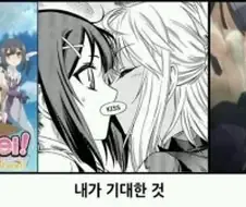 페이트) 프리야가 성공한 이유