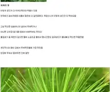 흙수저갤 레전드 가난그릴스