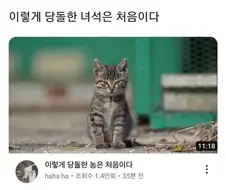 고놈 참 당돌하네...
