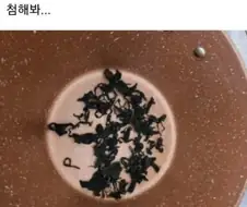미역국 초보자가 물어보는 미역양