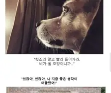 소년만화 클리셰 모음