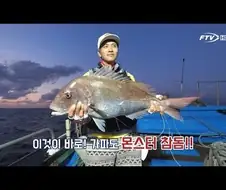 절대 망할수가 없다는 tv 채널