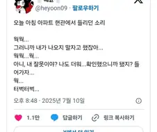 한~두달 뒤부터 견주들이 볼 수 있는 이야기.