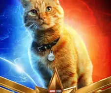 MCU) 퓨리가 정체가 들어나기 전까지 구스를 평범한 고양이로 안 이유