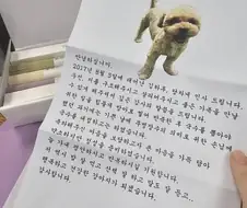 입양 보낸 강아지가 편지 보내옴