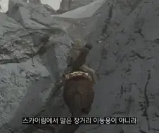스카이림에서의 말의 존재의의