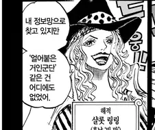 원피스 빅맘이 록스해적단의 나미 포지션이라 평가받는 이유