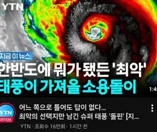 태풍 돌핀 이지선다