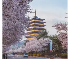 경주 황룡원 꼭대기층 이름을 미국이라고 하고 싶다