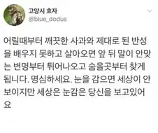 어릴때부터 사과와 반성을 배워야하는 이유