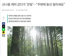 한중일에서 공통적으로 하면 위험한 행동