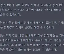 봇치더록] AI가 봇치쨩에게 해주는 조언