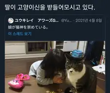 고양이 신에게 소원을 비는 딸